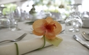 Wedding Venue